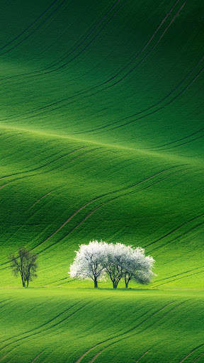 Nature wallpaper hd app offline screenshot 5
