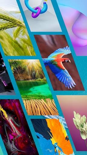 Expert Wallpaper - 4K Backgrounds screenshot 15