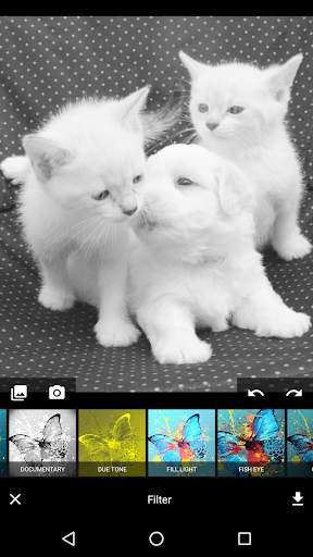 Image and Photo Editor - With Emojis & Filters screenshot 2