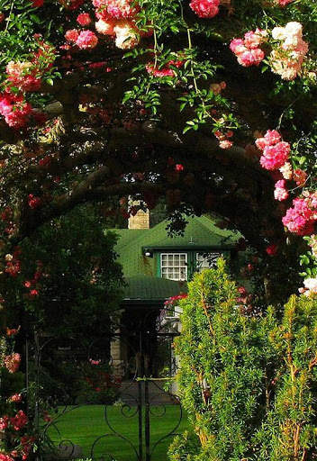 Rose Garden Wallpaper screenshot 3