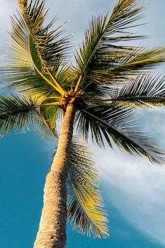 Summer Video Live Wallpaper скриншот 3