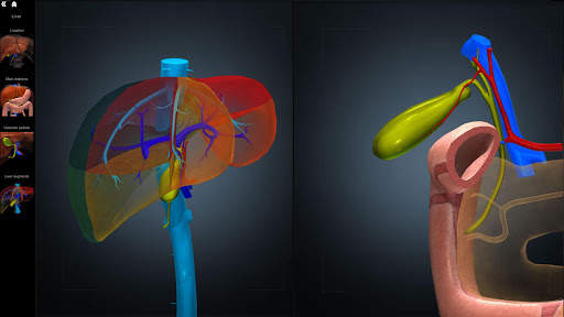 Anatomy Learning - 3D Anatomy Atlas screenshot 4