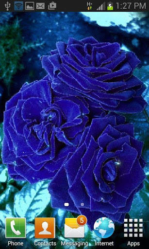 Blue Roses Live Wallpaper screenshot 2