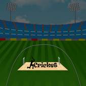Cricket 2d 1.0