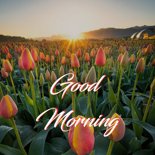 Good Morning &amp; Flowers - Images Gifs 2021 icon