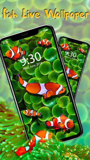 Cute Fish APUS Live Wallpaper screenshot 3