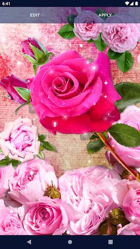 Pink Rose 4K Live Wallpaper screenshot 7