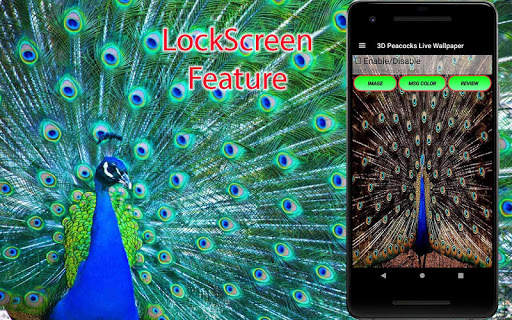 3D Peacock Live Wallpapers screenshot 3