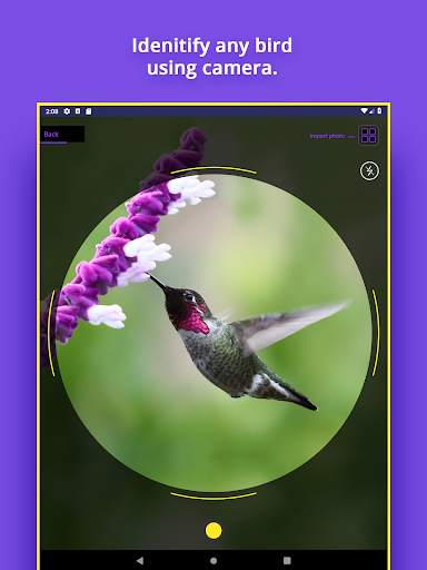 Bird Identifier screenshot 6