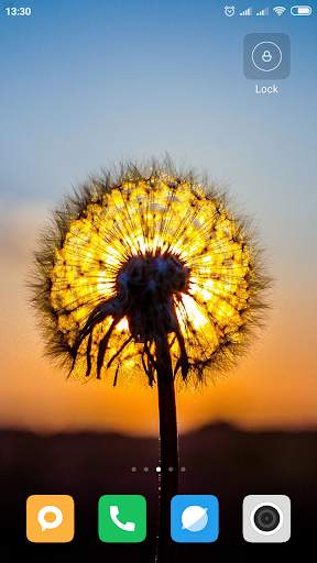 Dandelion Wallpaper HD screenshot 3