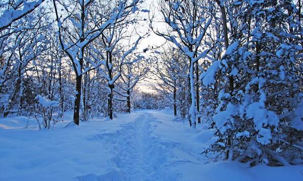 Snow 3d Wallpapers screenshot 4