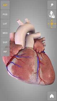 Heart 3D Anatomy Lite screenshot 2