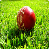 T20 Cricket icon