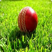 T20 Cricket 1.3