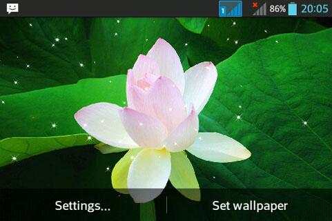 Hoa Sen screenshot 2