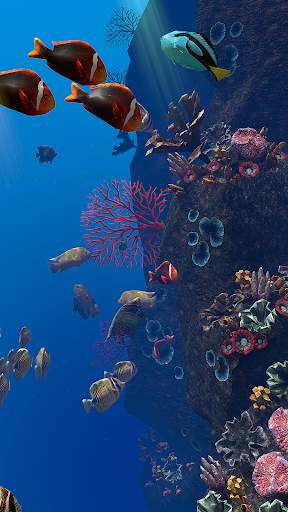 OCEAN AQUARIUM Live Wallpaper FREE screenshot 12