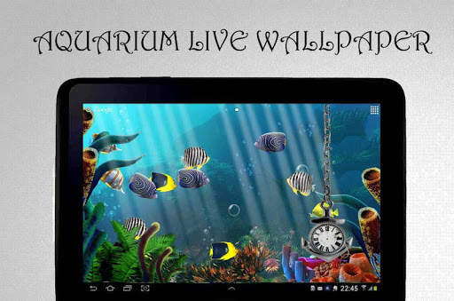 Aquarium Clock Live Wallpaper screenshot 7