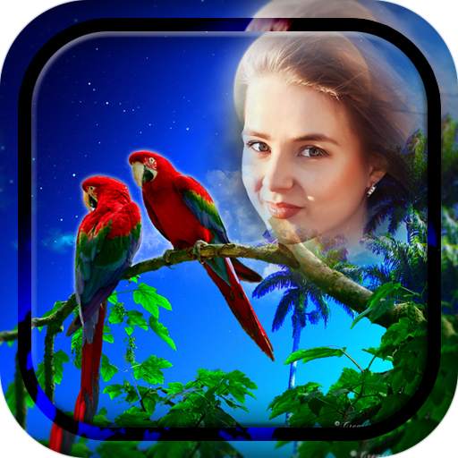 Love Birds Photo Frames 4.3