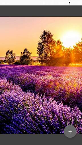 HD Wallpapers Offline screenshot 2