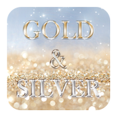 Gold and Silver Theme icon