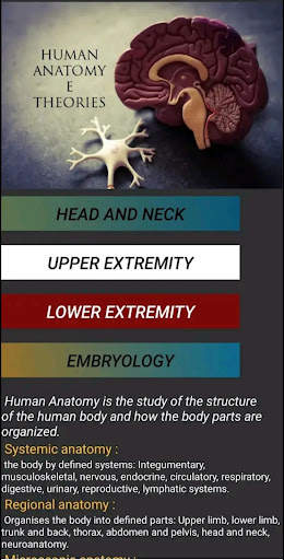 Human Anatomy E Theories screenshot 6