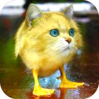 Morph Hybrid Animals on 9Apps