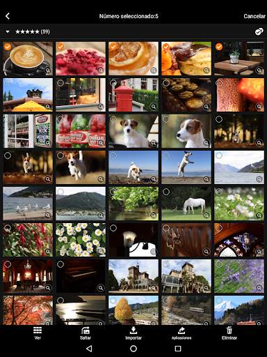 Canon Camera Connect screenshot 7