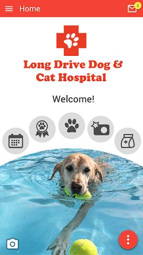 Long Drive Dog & Cat Hospital screenshot 1