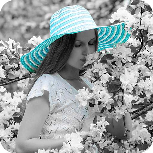 Highlight Photo Editor 1.0