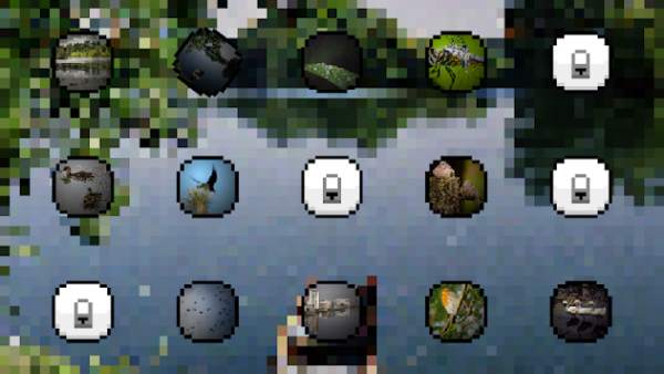 Birds Sounds and Ringtones screenshot 1