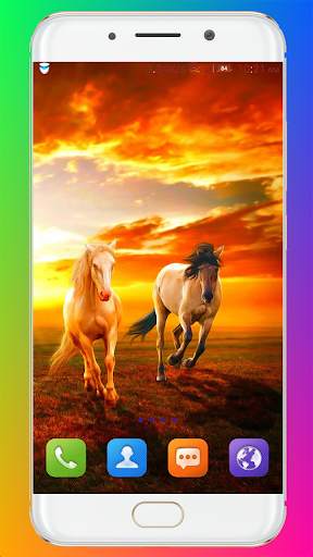 Horse Wallpaper HD screenshot 12