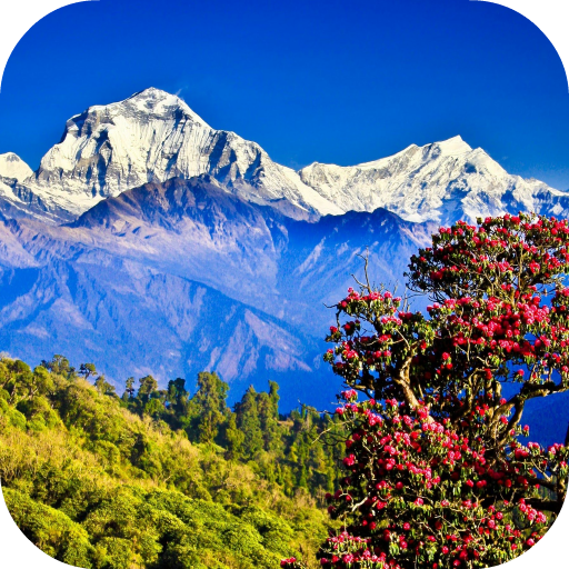 Nepal Live Wallpaper icon