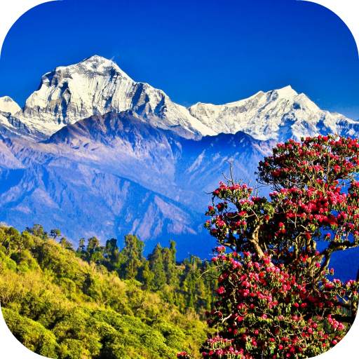 Nepal Live Wallpaper 2.0