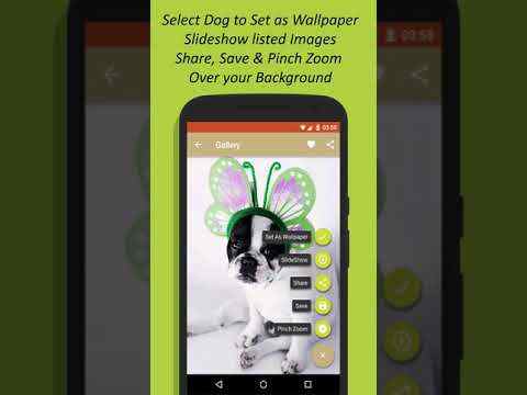 Dog Wallpaper HD screenshot 1
