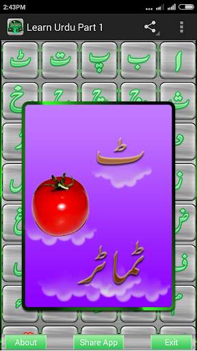 Learn Urdu  App 1 تصوير الشاشة