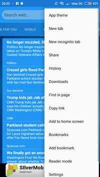 Browser screenshot 5