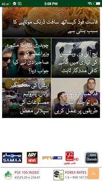 Pakistan Browser screenshot 4