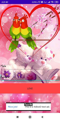 True Love Calculator screenshot 5