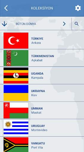 Dünya Bayrakları testi screenshot 24