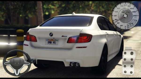 Driving BMW M5 - Competition Rides screenshot 4