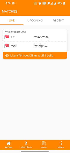 Cricket Lite screenshot 4