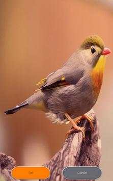 Birds Zipper Lock Screen screenshot 16
