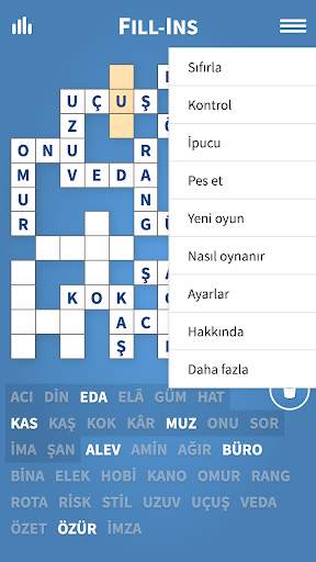 Fill-Ins · Kelime Bulmaca screenshot 2