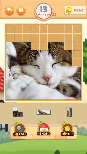 Pieces Pictures screenshot 3