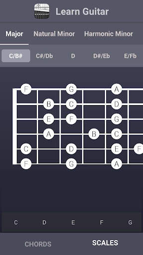 Learn Guitar Chords & Scales screenshot 3