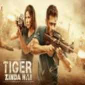 Tiger Zinda Hai on 9Apps