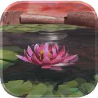 Lotus 3D Live Wallpaper icon