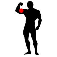 Tu fuerza: Entrenamiento