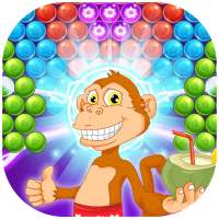 Monkey Bubble Fruit