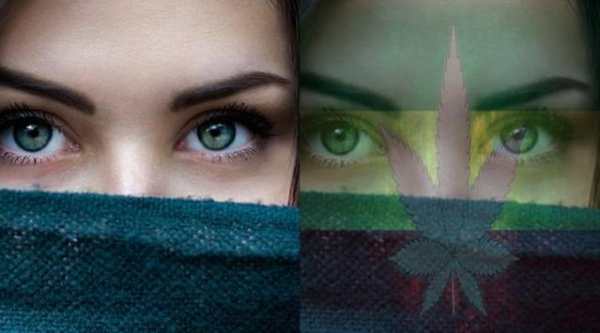 Rasta Effects Photo Editor & Background Change screenshot 2